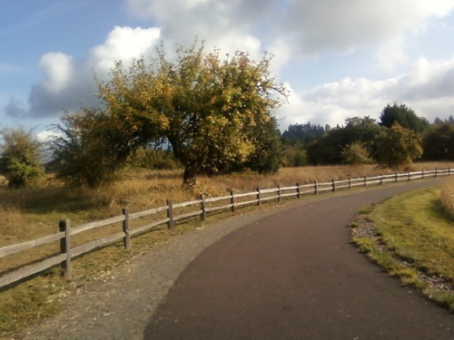 Find Michelle R Wortel Phone Number, Location, Email, and more on Intelius