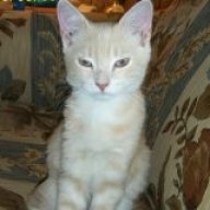 Find Mickey M Love Phone Number, Location, Email, and more on Intelius