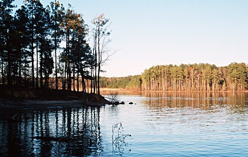 Find Mike H Eager Phone Number, Location, Email, and more on Intelius