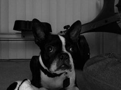 Find Milton German Smith Phone Number, Location, Email, and more on Intelius