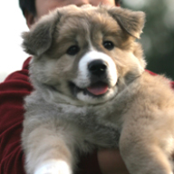 Find Mingdong Dong Chen Phone Number, Location, Email, and more on Intelius