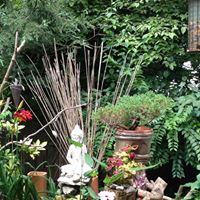 Find Miriam M Davis Phone Number, Location, Email, and more on Intelius