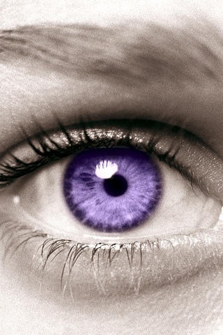 Find Mona D Chelette Phone Number, Location, Email, and more on Intelius