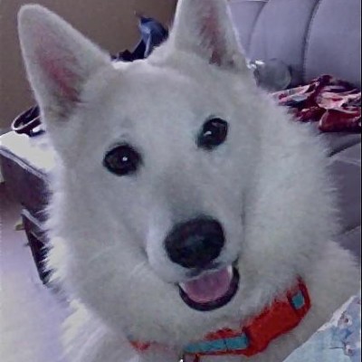 Find Morgan Paloma Clark-Coller Phone Number, Location, Email, and more on Intelius