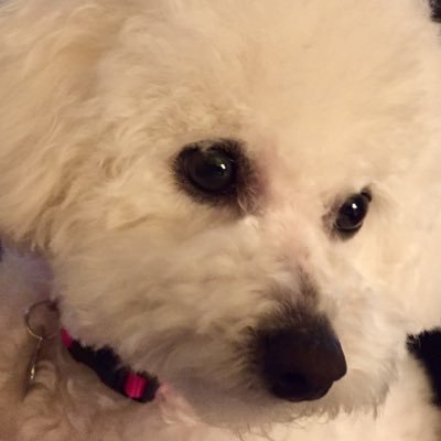 Find Nancy M Anderson Phone Number, Location, Email, and more on Intelius