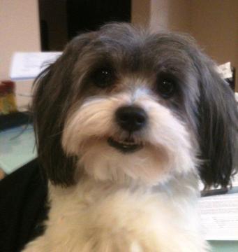 Find Nancy Ann Bayer Phone Number, Location, Email, and more on Intelius