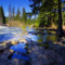 Find Nancy Bishop Phone Number, Location, Email, and more on Intelius