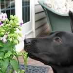 Find Nancy J Burns Phone Number, Location, Email, and more on Intelius