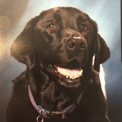 Find Nancy L Mitchell Phone Number, Location, Email, and more on Intelius