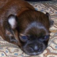Find Nancy A Tuttle Phone Number, Location, Email, and more on Intelius