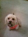 Find Nardelia Alison Jones Phone Number, Location, Email, and more on Intelius