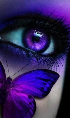 Find Natalie Lynn Vergara Phone Number, Location, Email, and more on Intelius