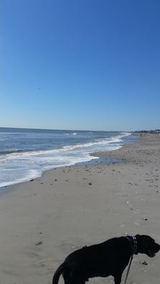 Find Nicholas Allen Carson Phone Number, Location, Email, and more on Intelius