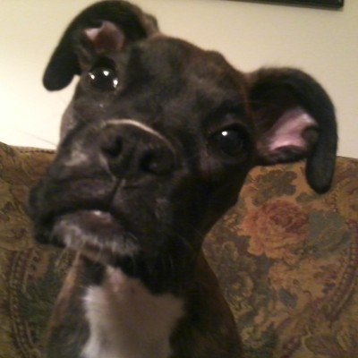Find Nicholas J Hammer Phone Number, Location, Email, and more on Intelius