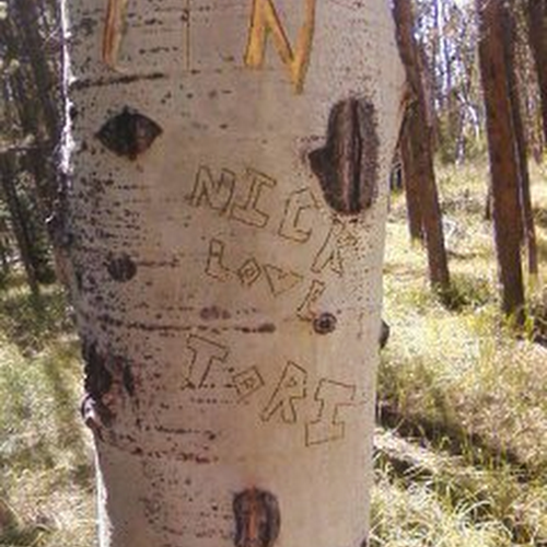 Find Nicholas M Miller Phone Number, Location, Email, and more on Intelius
