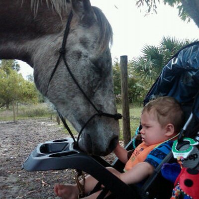 Find Olivia Lee Knapp Phone Number, Location, Email, and more on Intelius