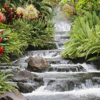 Find Onike Pauline Stephens Phone Number, Location, Email, and more on Intelius