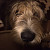 Find Ora Dawn Crider Phone Number, Location, Email, and more on Intelius