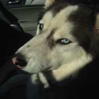Find Pamela Granados Phone Number, Location, Email, and more on Intelius