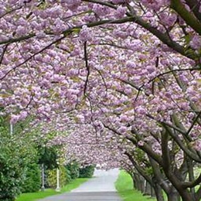 Find Pamela Gregory Phone Number, Location, Email, and more on Intelius