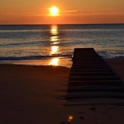 Find Pamela Vernon Rogers Phone Number, Location, Email, and more on Intelius
