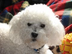 Find Patricia E Gonsalves Phone Number, Location, Email, and more on Intelius