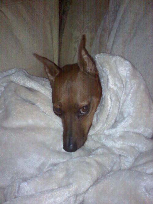 Find Patricia Ann Mcdaniel Phone Number, Location, Email, and more on Intelius