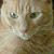 Find Patricia A Whaley Phone Number, Location, Email, and more on Intelius