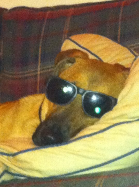 Find Patrick T Baker Phone Number, Location, Email, and more on Intelius