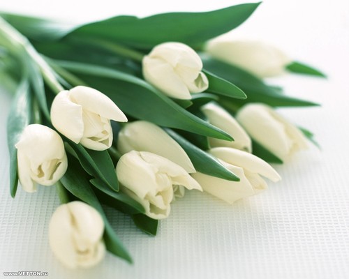 Find Patrick John Busch Phone Number, Location, Email, and more on Intelius