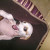 Find Patrick Ceme Phone Number, Location, Email, and more on Intelius