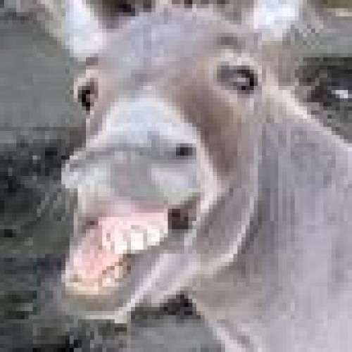 Find Patrick A Hayes Phone Number, Location, Email, and more on Intelius