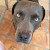 Find Patrick E Mccutcheon Phone Number, Location, Email, and more on Intelius