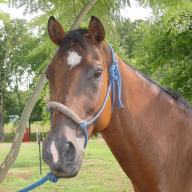 Find Patrick Lee Patton Phone Number, Location, Email, and more on Intelius