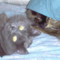 Find Patrick Dale Ruch Phone Number, Location, Email, and more on Intelius
