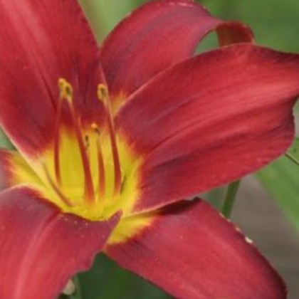 Find Paul C Hill Phone Number, Location, Email, and more on Intelius