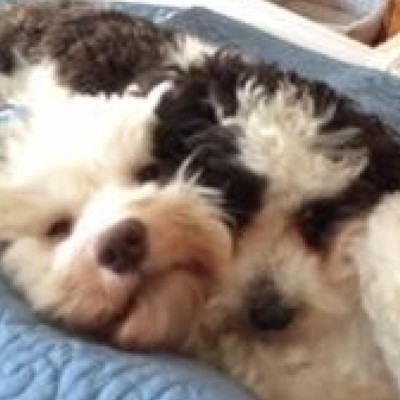 Find Paul E Robichaud Phone Number, Location, Email, and more on Intelius