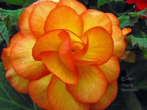 Find Pauline Mmenor Menor-Ozoa Phone Number, Location, Email, and more on Intelius