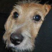 Find Penny Lynne Ramsey Phone Number, Location, Email, and more on Intelius