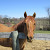 Find Peter J Aagaard Phone Number, Location, Email, and more on Intelius