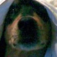 Find Philip L Moore Phone Number, Location, Email, and more on Intelius