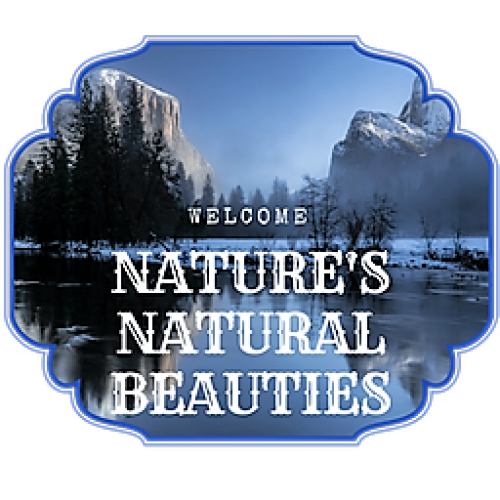 Find Phillip Lawrence Bostron Phone Number, Location, Email, and more on Intelius
