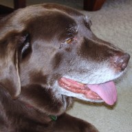 Find Phillip Gregory Duba Phone Number, Location, Email, and more on Intelius