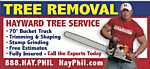 Find Phillip Glen Hayward Phone Number, Location, Email, and more on Intelius