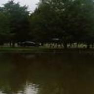 Find Quentaurus Deshun Herring Phone Number, Location, Email, and more on Intelius