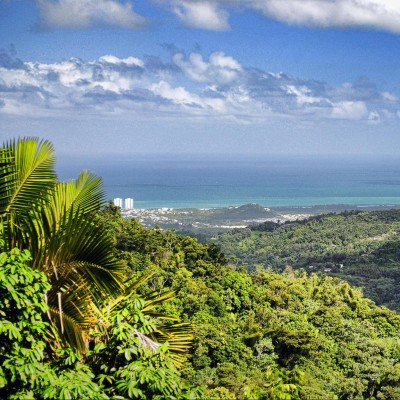 Find Rafael Sosa Phone Number, Location, Email, and more on Intelius