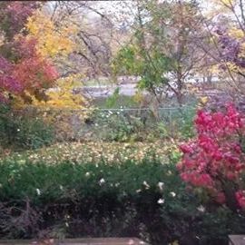 Find Ramona J Baker Phone Number, Location, Email, and more on Intelius