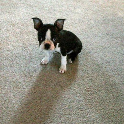 Find Randy Curtis Baker Phone Number, Location, Email, and more on Intelius