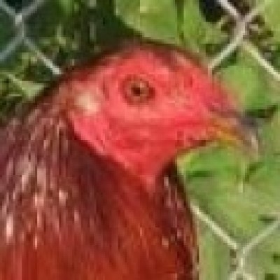 Find Randy J Stevens Phone Number, Location, Email, and more on Intelius