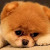 Find Regina T Bonura Phone Number, Location, Email, and more on Intelius